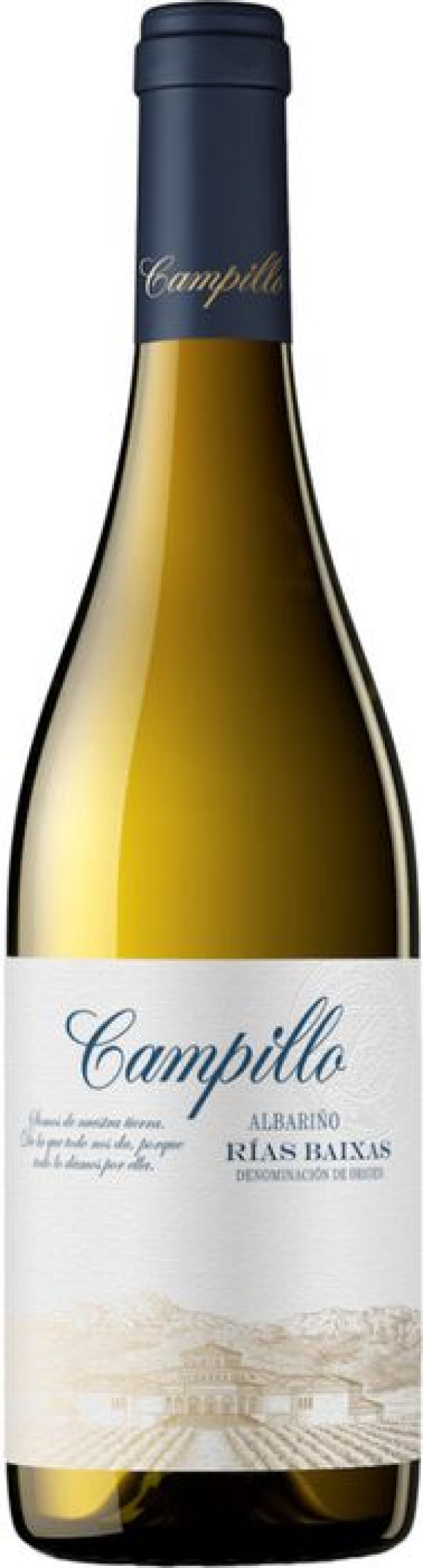 CAMPILLO ALBARIÑO 6